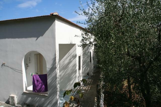 Casa Vacanze Pizzone Apartman Peschici Kültér fotó
